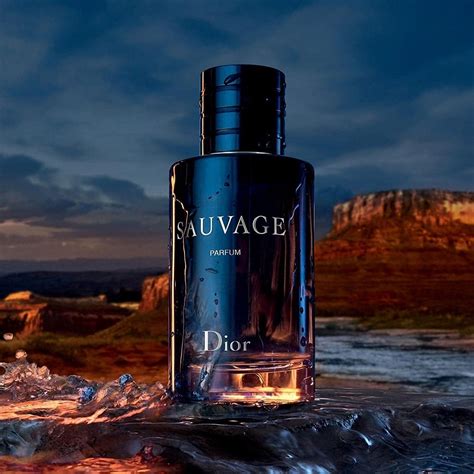 dior sauvage ovico|sauvage dior perfume.